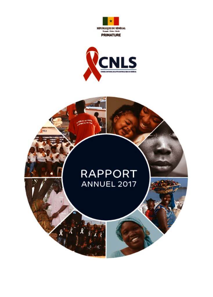 thumbnail of Rapport CNLS 2017